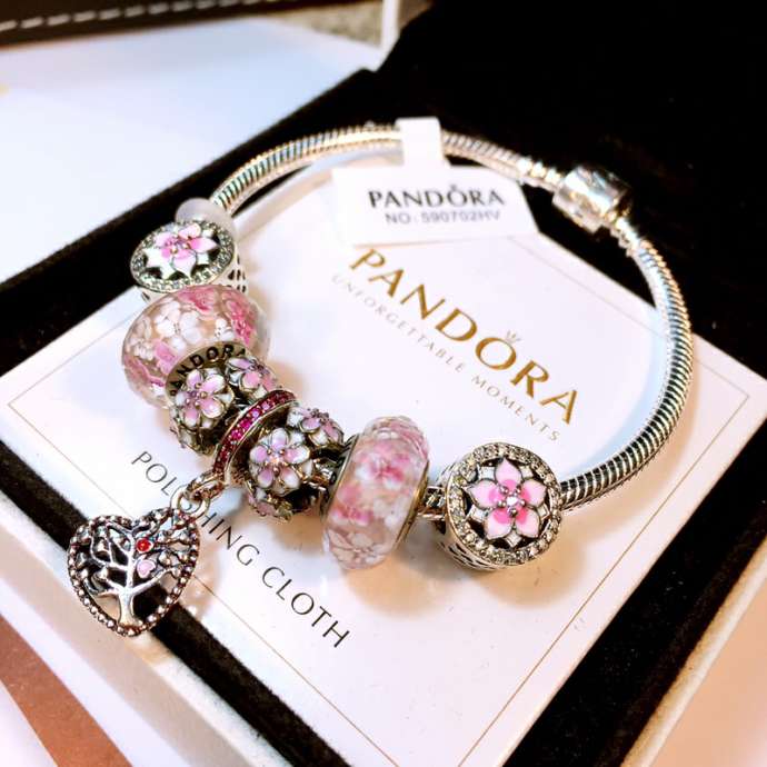 Picture of Pandora Bracelet 5 _SKUPandorabracelet16-2101cly19413832